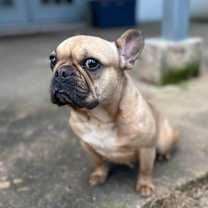 Thumbnail photo of Winnie #3