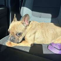 Thumbnail photo of Winnie #4