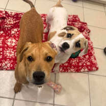 Thumbnail photo of Princess #3