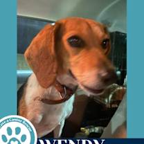 Thumbnail photo of Wendy 122025 #4