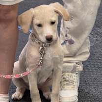 Thumbnail photo of Mila #1