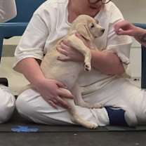 Thumbnail photo of Mila #3