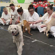 Thumbnail photo of Paris #1