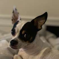 Thumbnail photo of Baby #1