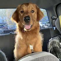 Thumbnail photo of Enzo #3