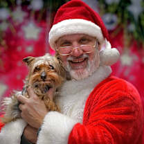 Thumbnail photo of BEAR #2