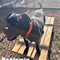 Thumbnail photo of Benjamin #1