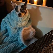 Thumbnail photo of Baby #3