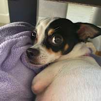 Thumbnail photo of Baby #4