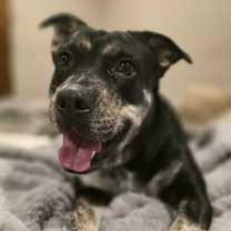 Thumbnail photo of Glow #1