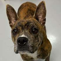 Thumbnail photo of Baby Girl #3