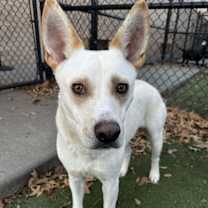 Thumbnail photo of Axel #1