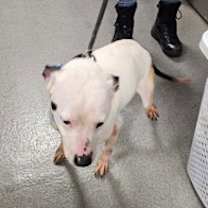 Thumbnail photo of Vada #2