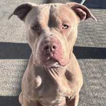 Thumbnail photo of Sammy #1