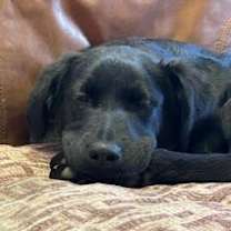 Thumbnail photo of Wendy #2