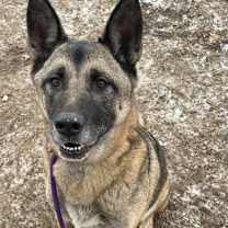 Thumbnail photo of Appa #1