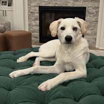 Thumbnail photo of Courtney #2