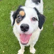 Thumbnail photo of Lilly #1