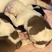 Thumbnail photo of 032405 - Luka #2