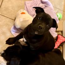 Thumbnail photo of Maye #4