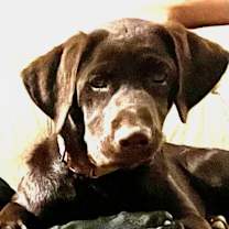 Thumbnail photo of Frannie #1