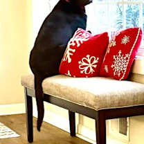 Thumbnail photo of Frannie #3