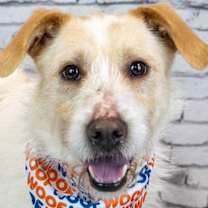 Thumbnail photo of Ryder #1