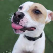 Thumbnail photo of Camp #3