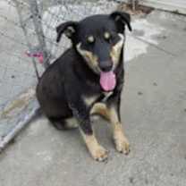 Thumbnail photo of Howard #3