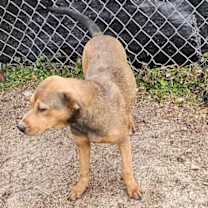 Thumbnail photo of Whimsy #3