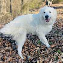 Thumbnail photo of Bianca #1