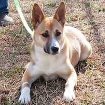 Thumbnail photo of Holly #1