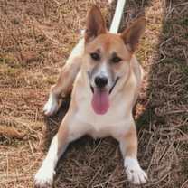 Thumbnail photo of Holly #3