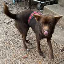 Thumbnail photo of Scotland #3