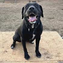 Thumbnail photo of Olive #1