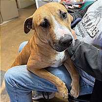 Thumbnail photo of Tater #2