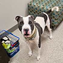 Thumbnail photo of Almond #2