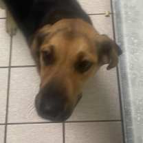 Thumbnail photo of Helga #2