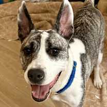 Thumbnail photo of Waverlei  #1