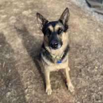 Thumbnail photo of Big Ben #3