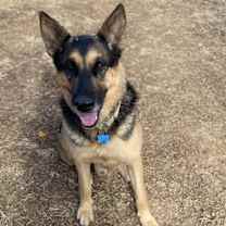 Thumbnail photo of Big Ben #1