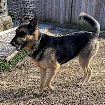 Thumbnail photo of Big Ben #2