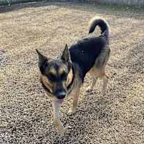 Thumbnail photo of Big Ben #4