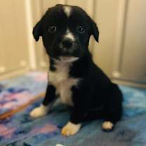 Thumbnail photo of Nella 1223 #1