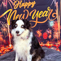 Thumbnail photo of Pandora #1