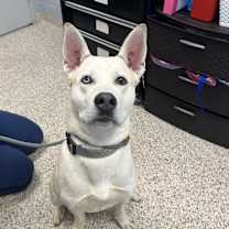 Thumbnail photo of Frosty #4