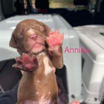 Thumbnail photo of Annika #2