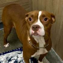 Thumbnail photo of Sundae  #3