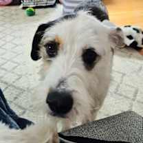 Thumbnail photo of Dolores #2