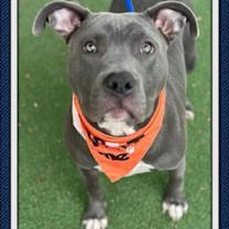 Thumbnail photo of Franklin (51) #1